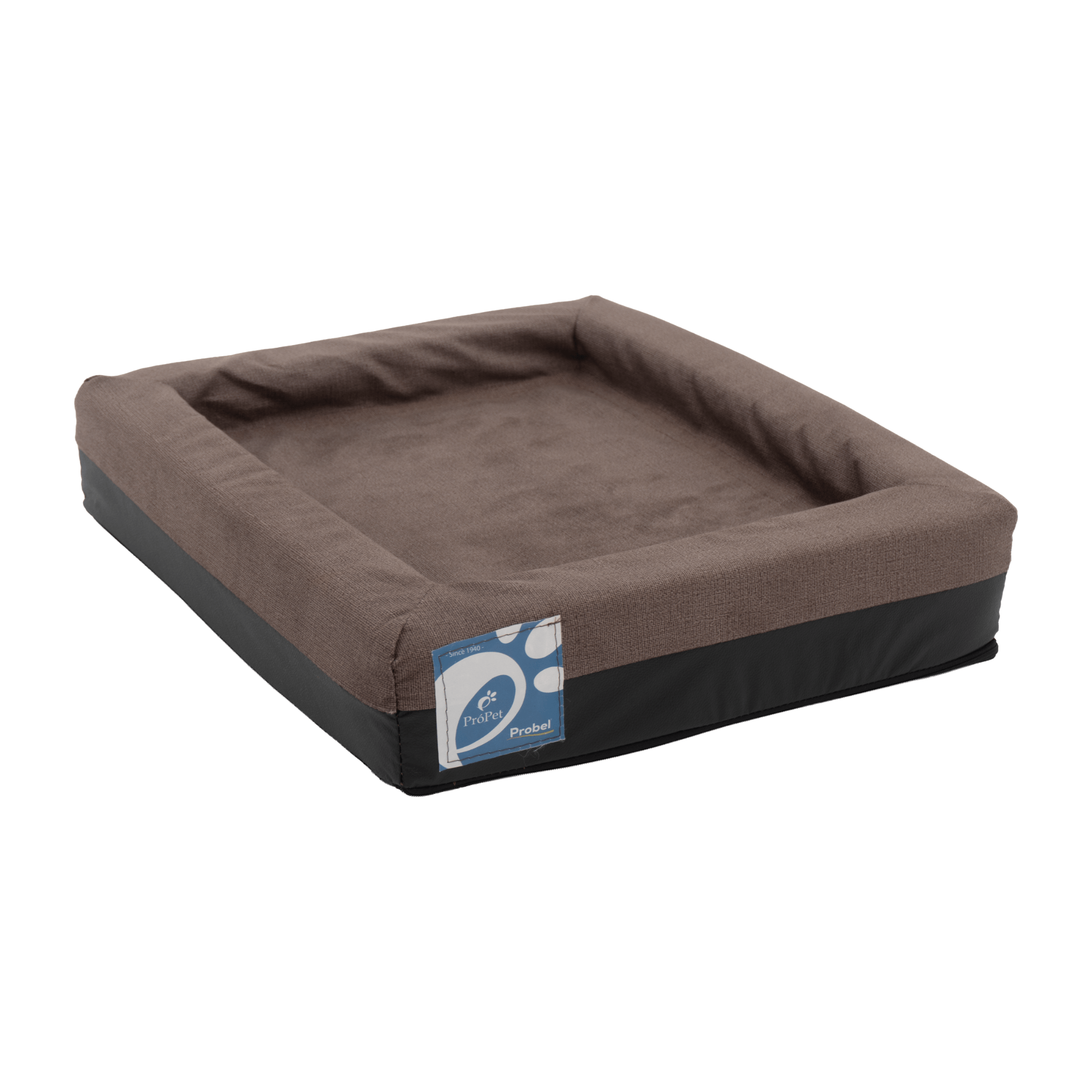 Design sem nome -19-